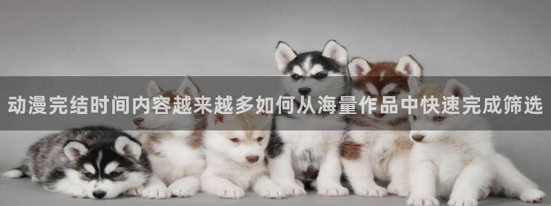 热门动漫推荐