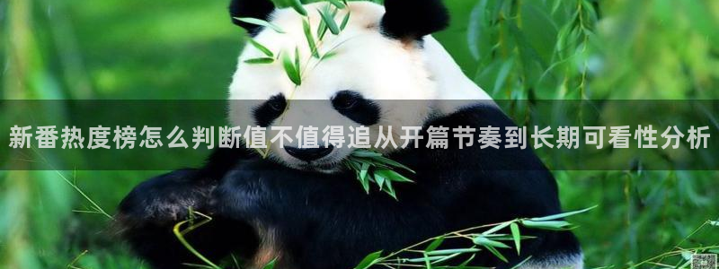 玄幻动漫推荐:新番热度榜怎么判断值不值得追从开篇节奏到长期可看性分析
