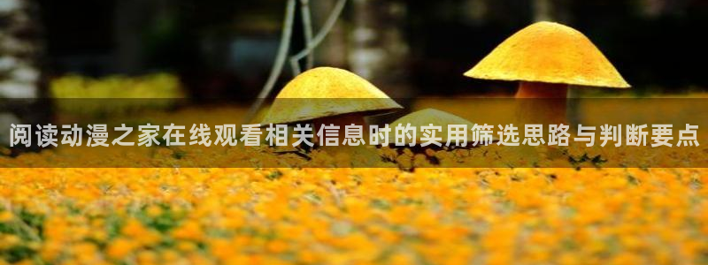 动漫评分排行:阅读动漫之家在线观看相关信息时的实用筛选思路与判断要点