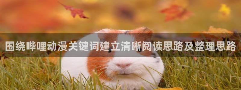 战斗动漫:围绕哔哩动漫关键词建立清晰阅读思路及整理思路