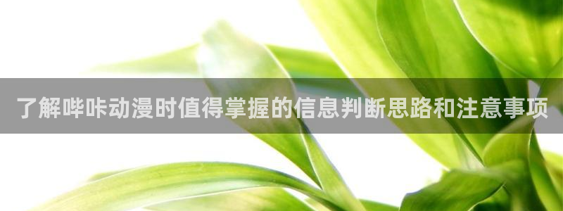 动漫更新时间:了解哔咔动漫时值得掌握的信息判断思路和注意事项