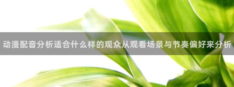 动漫热门榜:动漫配音分析适合什么样的观众从观看场景与节奏偏好来分析