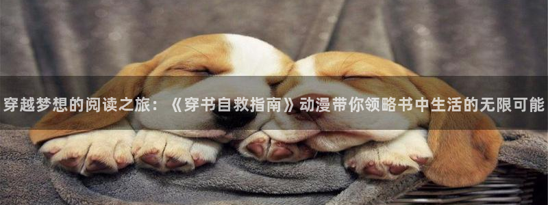 经典动漫大全:穿越梦想的阅读之旅:《穿书自救指南》动漫带你领略书中生活的无限可能