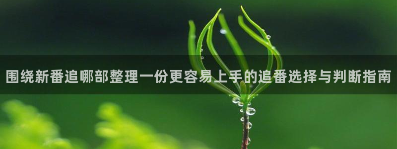 动漫分类导航:围绕新番追哪部整理一份更容易上手的追番选择与判断指南
