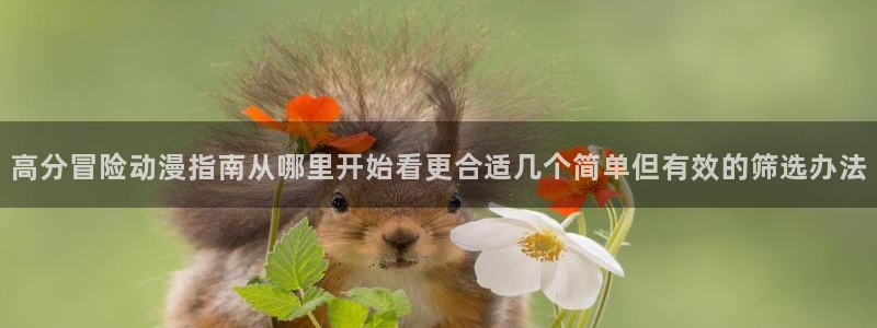 日本动漫:高分冒险动漫指南从哪里开始看更合适几个简单但有效的筛选办法