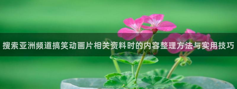 老动漫推荐:搜索亚洲频道搞笑动画片相关资料时的内容整理方法与实用技巧