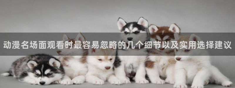 动画新闻:动漫名场面观看时最容易忽略的几个细节以及实用选择建议